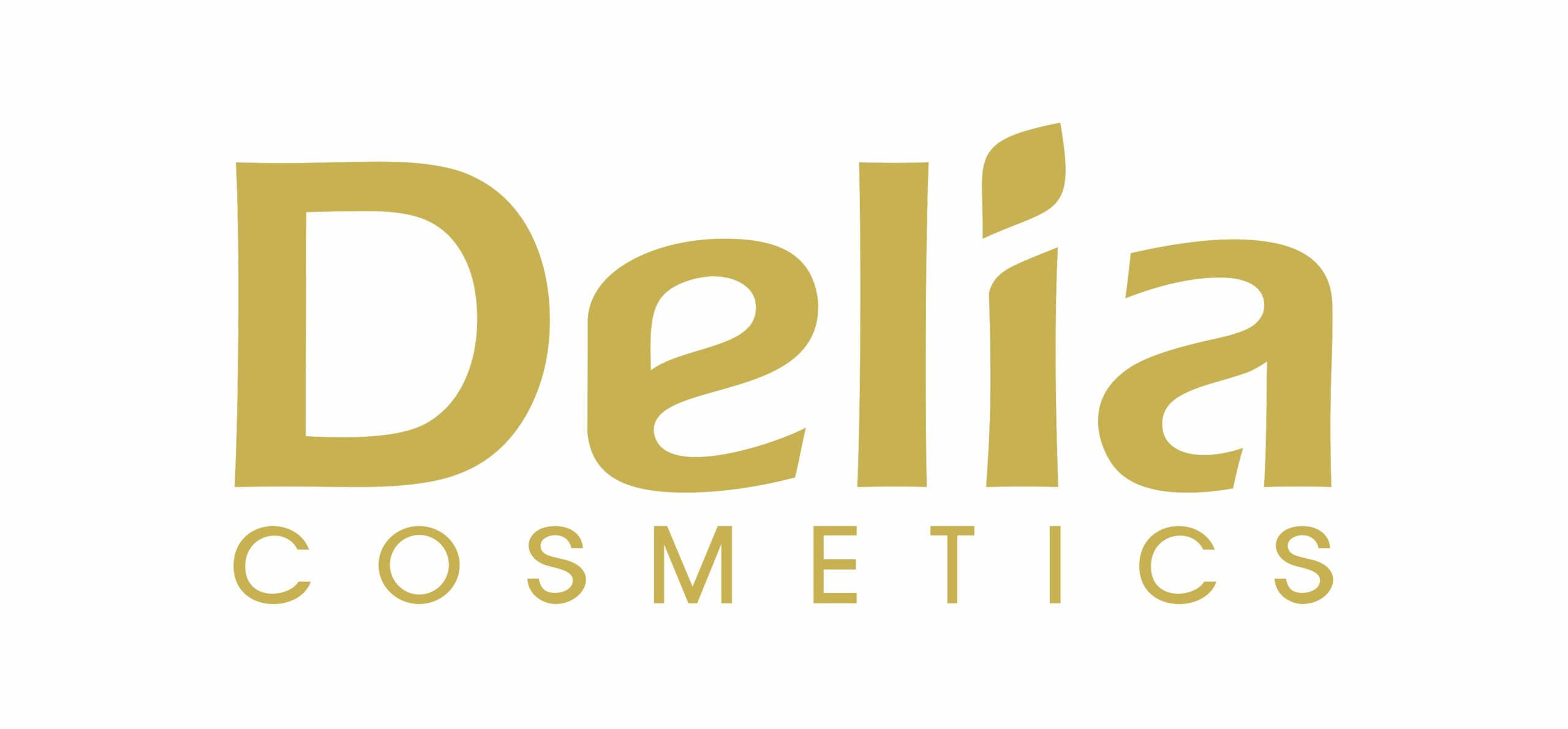 Logo partnera